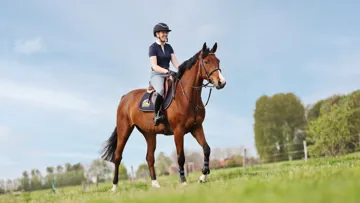 Les tips Cavalor : un muscle nourri est un muscle heureux 