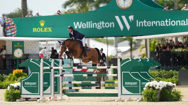 À Wellington, Ben Maher s'est imposé dans l'épreuve majeure de ce jeudi avec Point Break. 