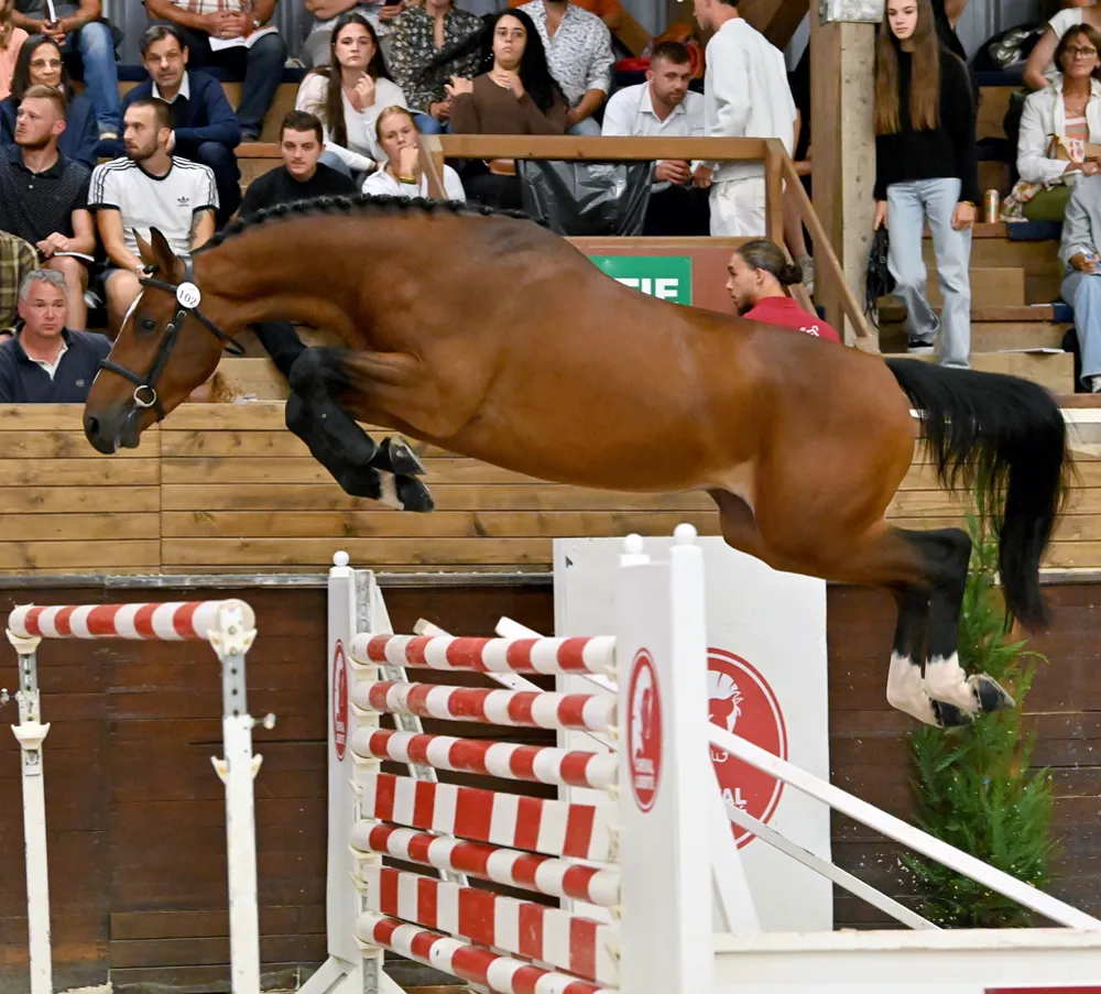 Made in des Forêts a été adjugé 100.000 euros.