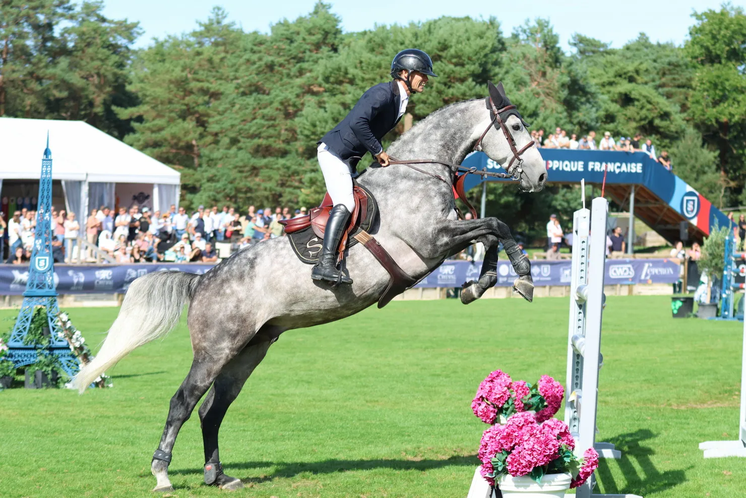 Johnny Semilly a été le meilleur entier de six ans à Fontainebleau