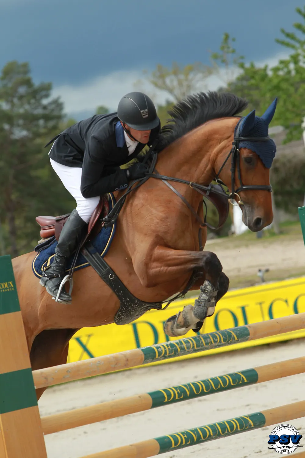 Djinn Tonic, en tête du Challenge PremiuMares des 6 ans