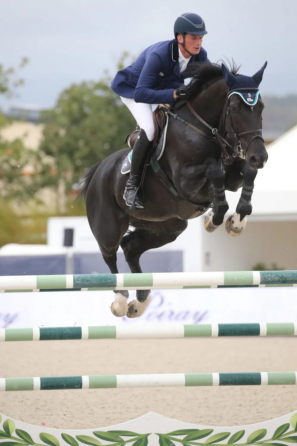 Mr Jones fait partie des espoirs du cavalier des écuries Stephex.