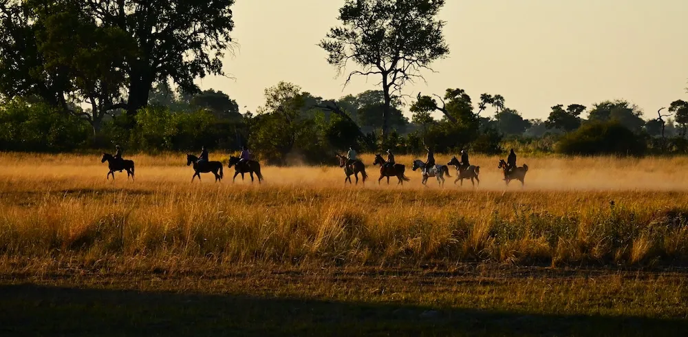 Un safari en Afrique, et à cheval!