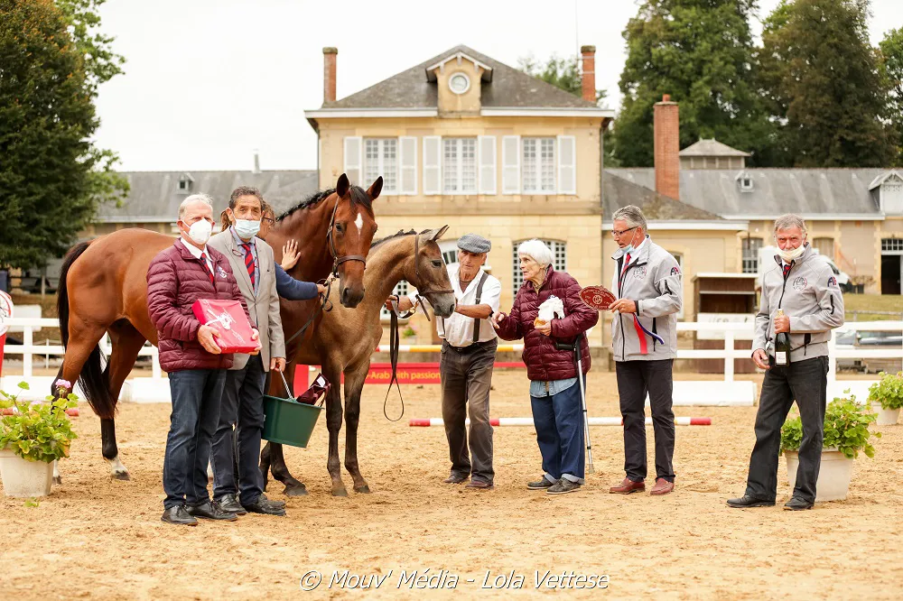 Komment Donc champion suprême des foals AA 2020