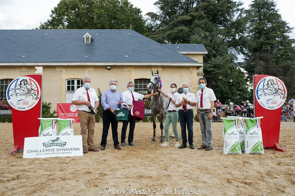 Hautbois d'Olympe, champion suprême des 3 ans 