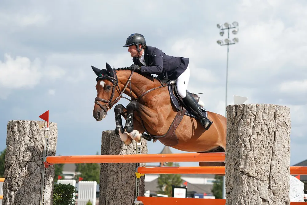 Chester, sept ans, fait partie des espoirs de Darragh Kenny.