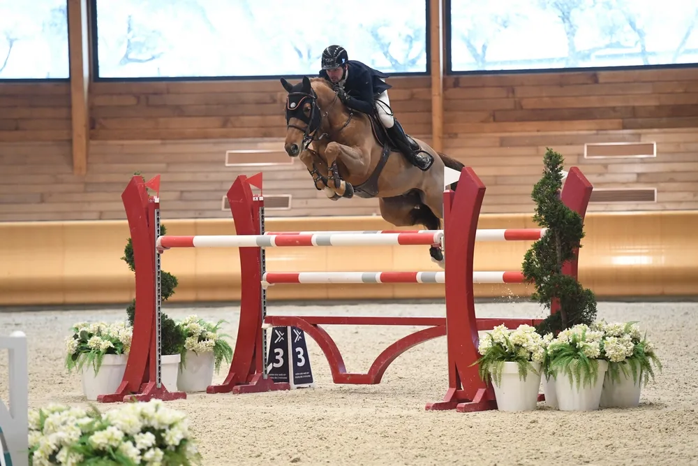 Britney du Banney est actuellement la jument de tête de Paul Delforge.