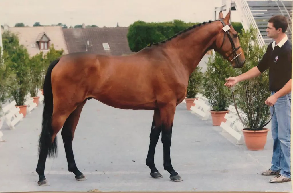 Vital Chance*de la Roque ici présenté au modèle. 