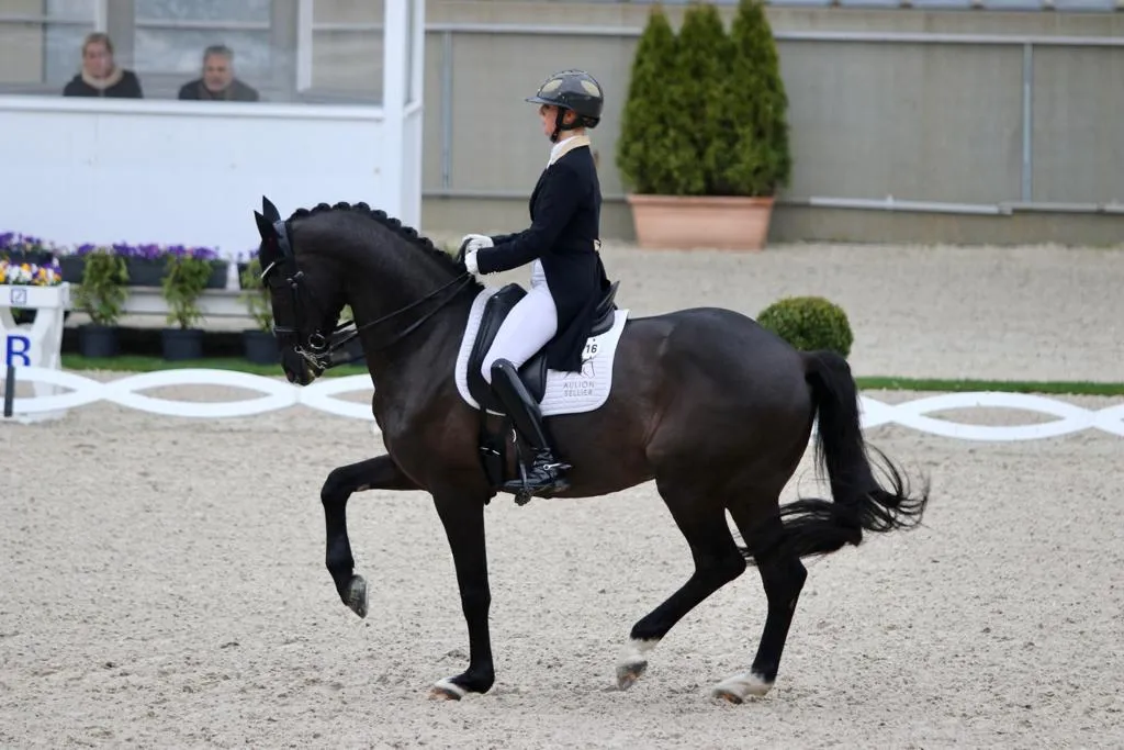 Camille Judet-Chéret et Herelja Higgins ont une nouvelle fois dépassé la barre des 70 % aujourd'hui.