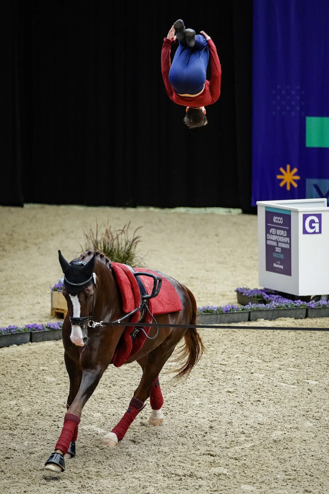 Quentin Jabet et Ronaldo 200 ont produit un programme très, très spectaculaire.