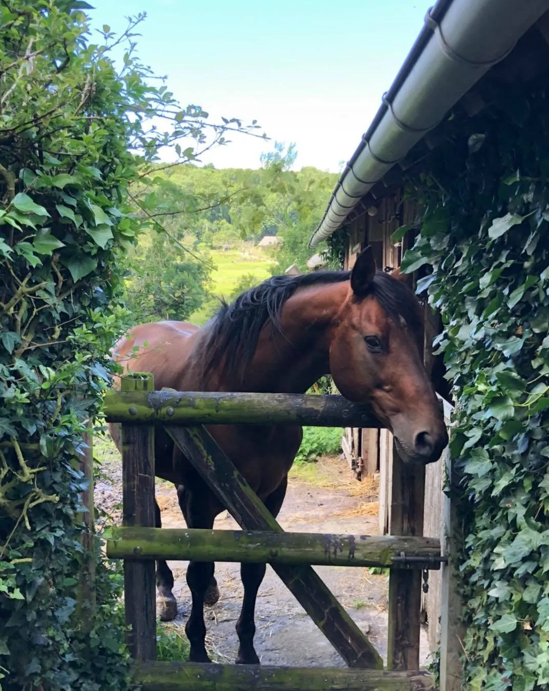 Kraque Boom en 2021 à Pennedepie.