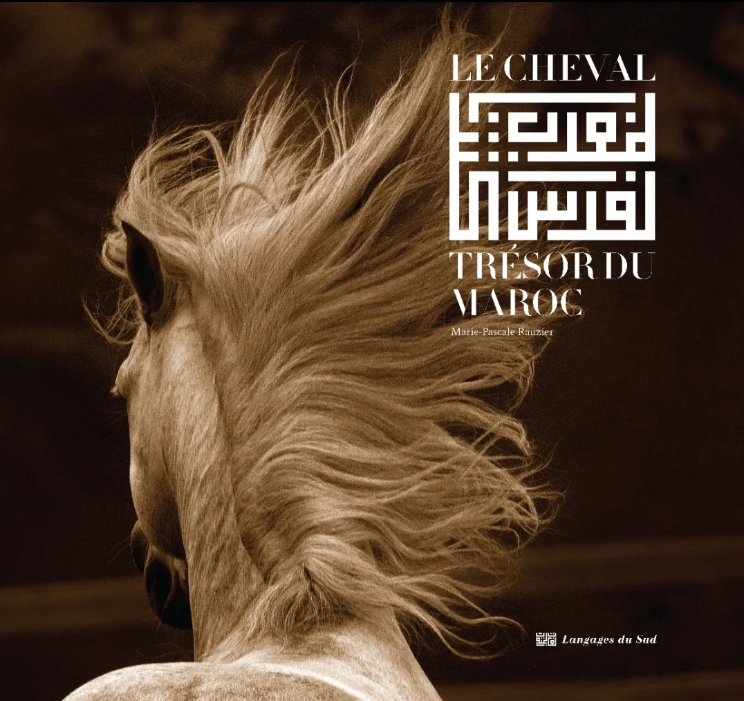 Le cheval, trésor du Maroc