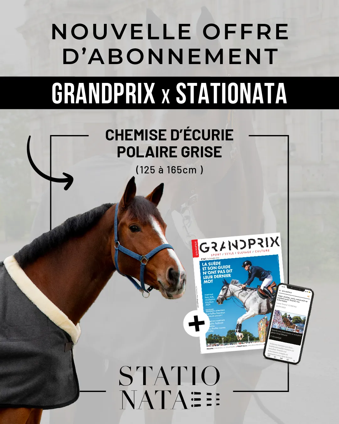 Offrez-vous une couverture Stationata en polaire grise 