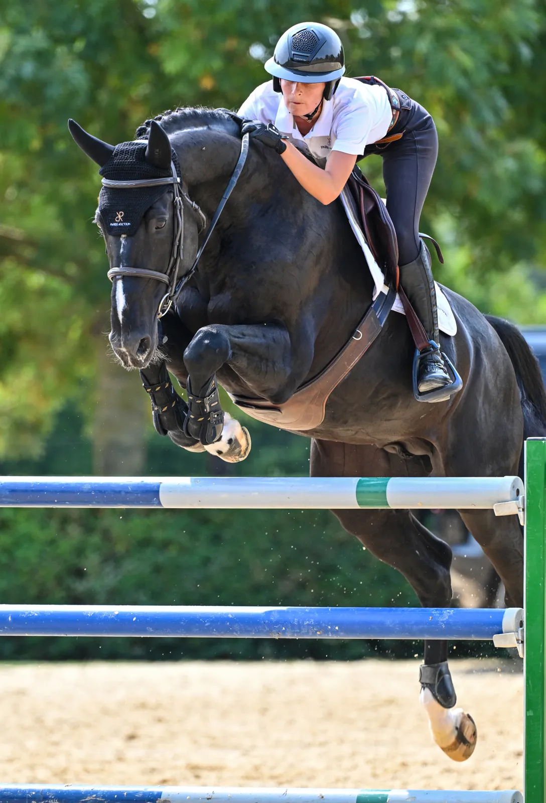 Darkhorse Brimbelles, l’étalon noir d’Éden Leprevost Blin-Lebreton, compte lui aussi parmi les stars du catalogue de cette vente.