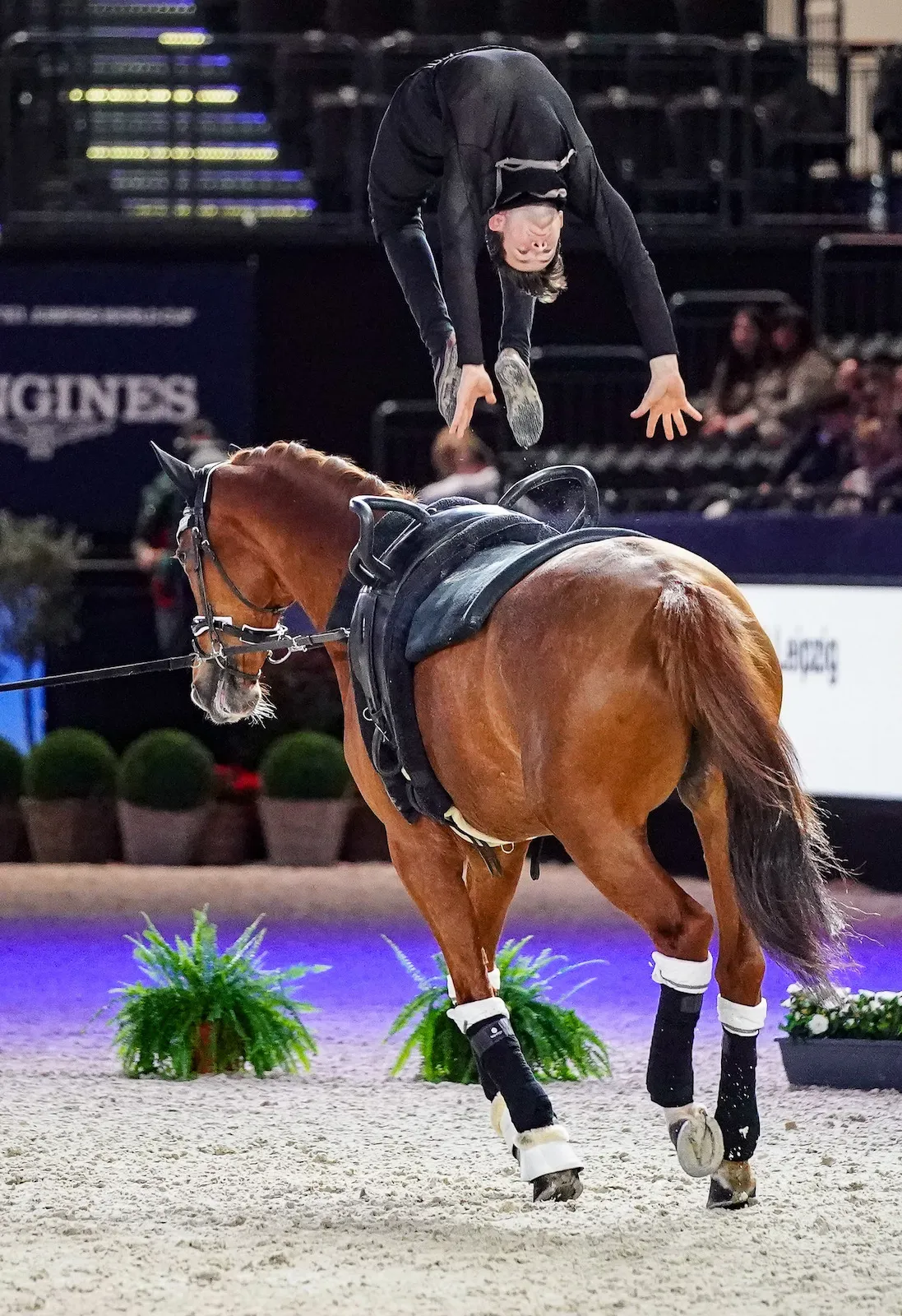 Lambert Leclezio et Saitiri.