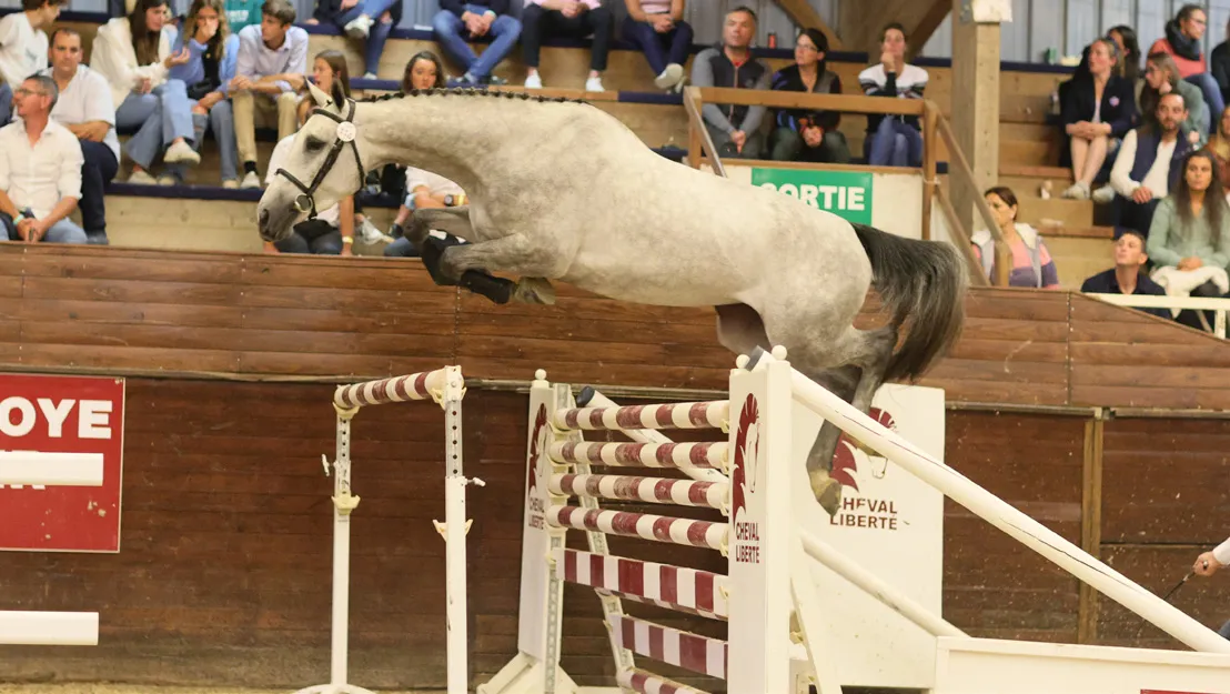 Naminka (SF, Cornet Obolensky x Verdi), top price de l’édition 2021, a été vendue 160.000 euros.