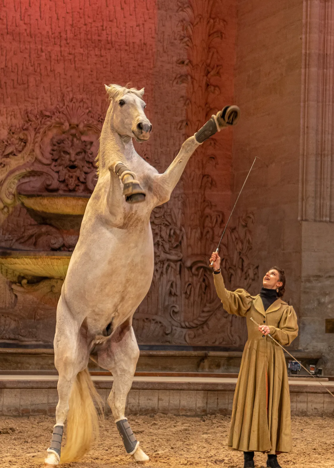 Alizée Froment en représentation