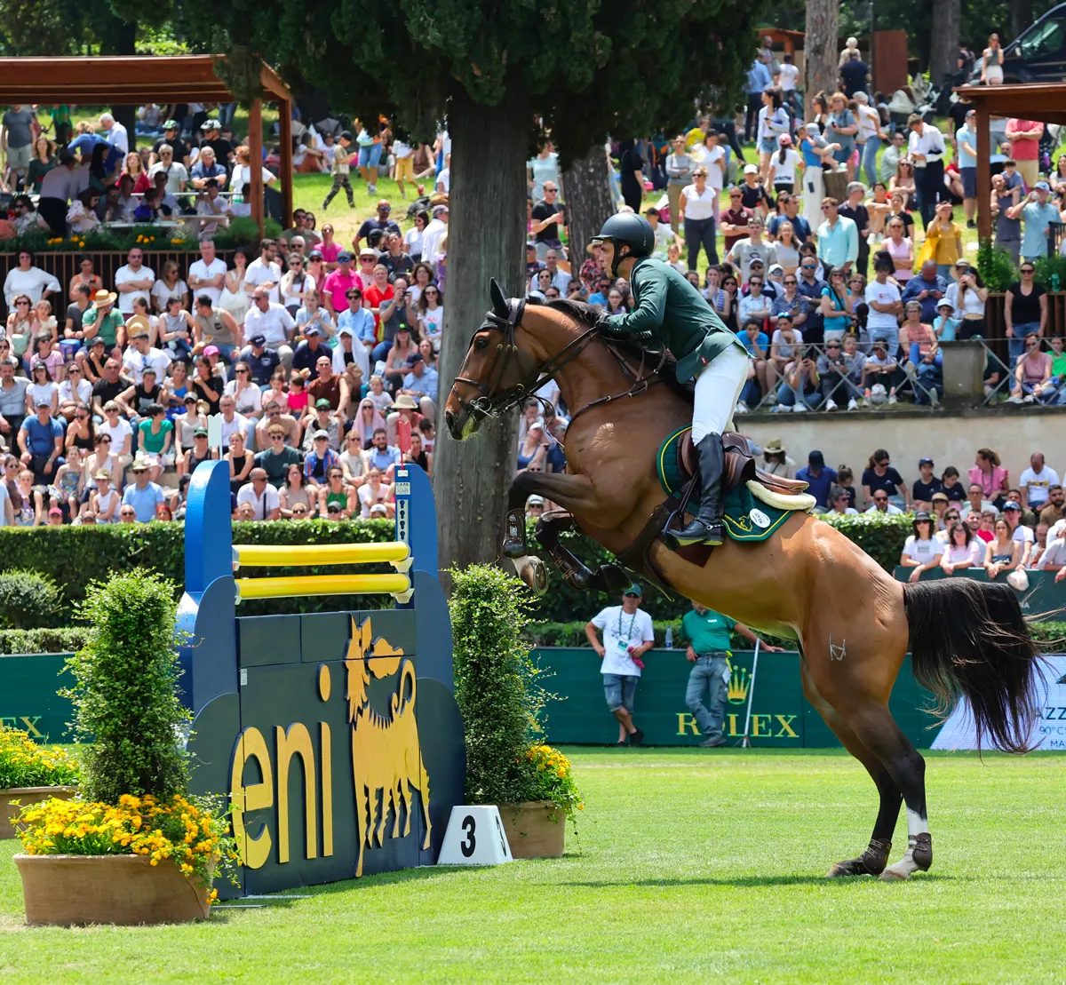 Le Brésilien Stephan de Freitas Barcha a créé une belle surprise avec Chevaux Primavera Montana Imperio Egipcio.