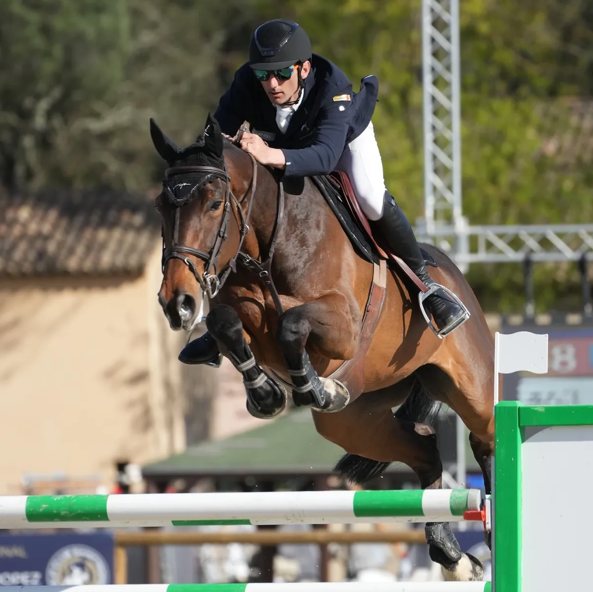 Dynamite du Miral, jument de onze ans par Nabab de Rêve.