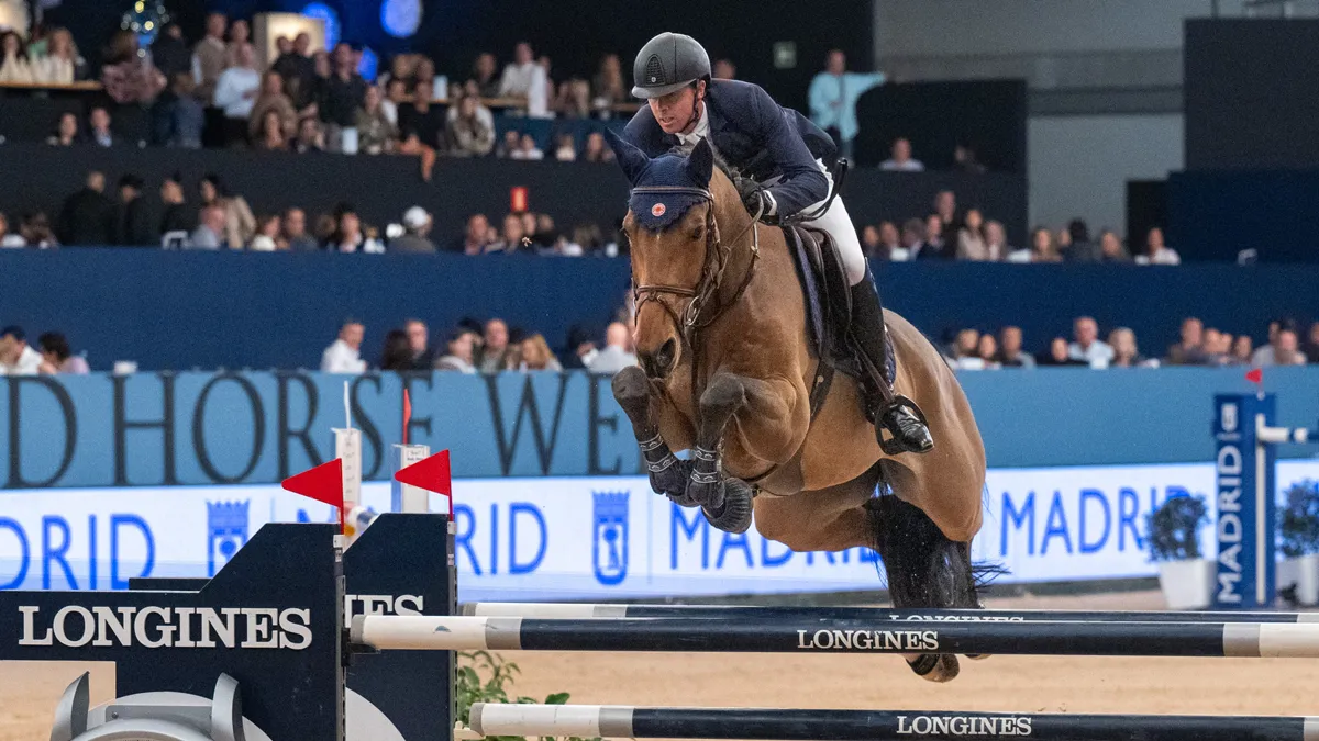 Le Selle Français Enjeu de Grisien, deuxième aujourd’hui, fait figure d’étoile montante dans l’incroyable piquet de chevaux de Ben Maher.