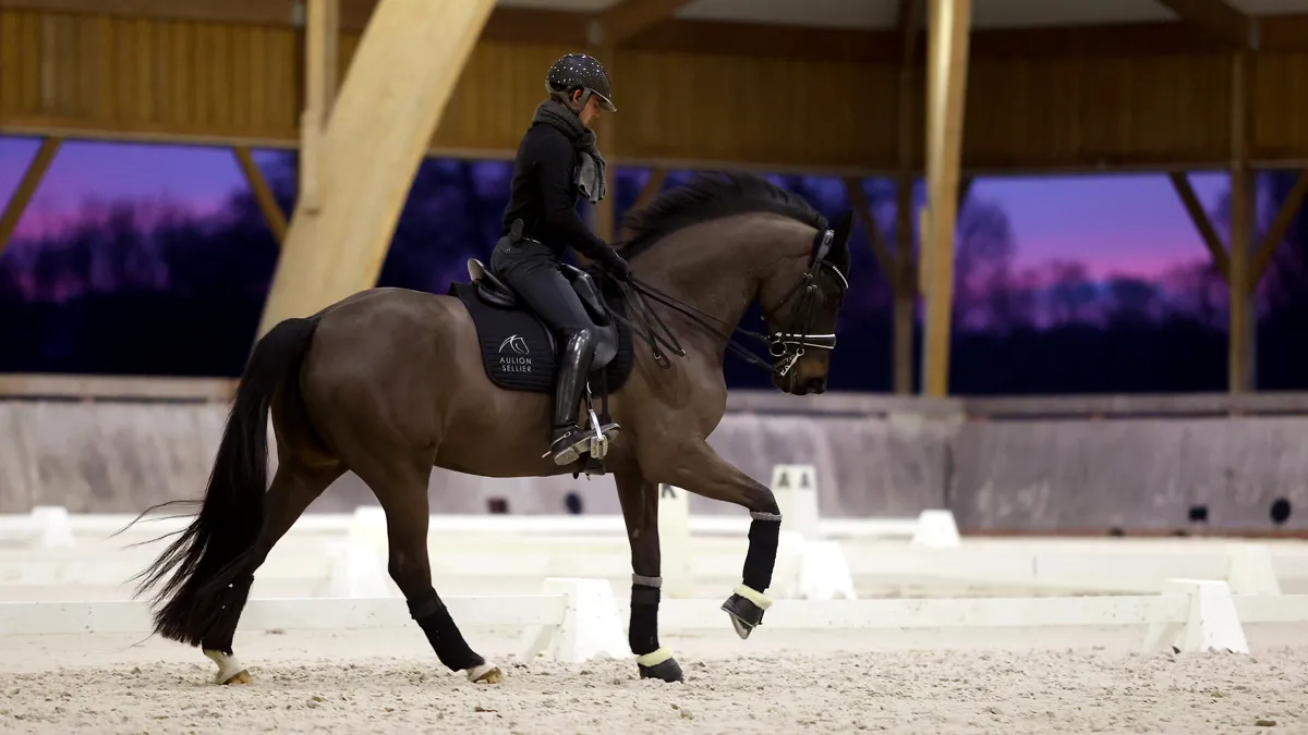 Corentin Pottier et Gotilas du Feuillard.