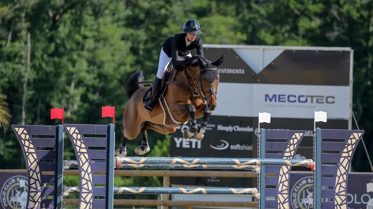 Comme tous les autres chevaux de Nina Mallevaey, Destine To Be appartient à la famille Rein.