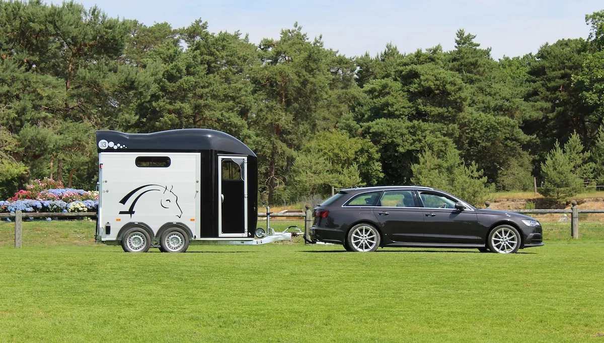 En raison de l’évolution du marché des véhicules, notamment l’apparition de ceux électriques, hybrides ou moins polluants, les constructeurs s’attèlent à baisser le poids des vans.
