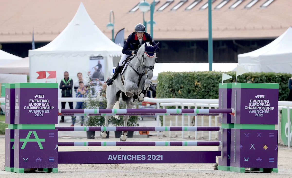 Maxime Livio et Api du Libaire