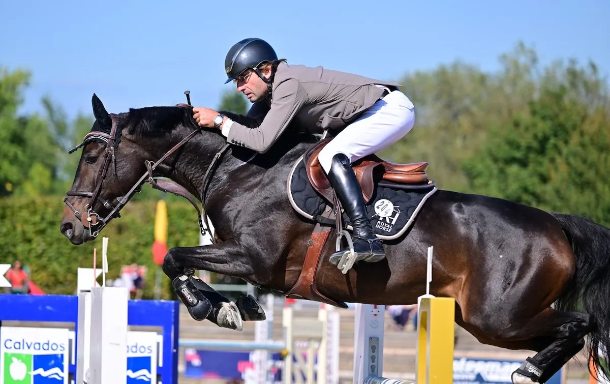 Fruna de Kogis a remporté trois épreuves dont le Grand Prix au CSI 2* de Deauville début octobre.