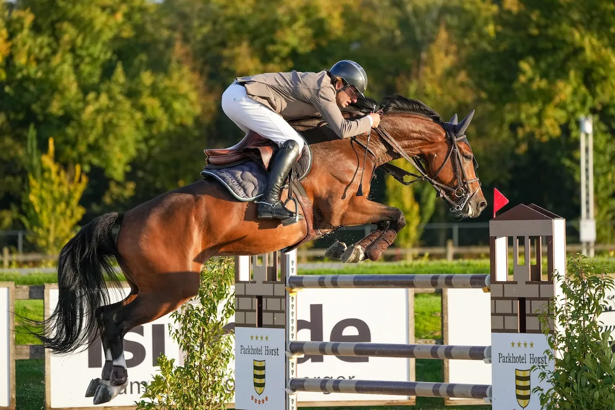 Guillaume Foutrier peut également compter sur Fun des Cèdres Verts, neuf ans en 2*.