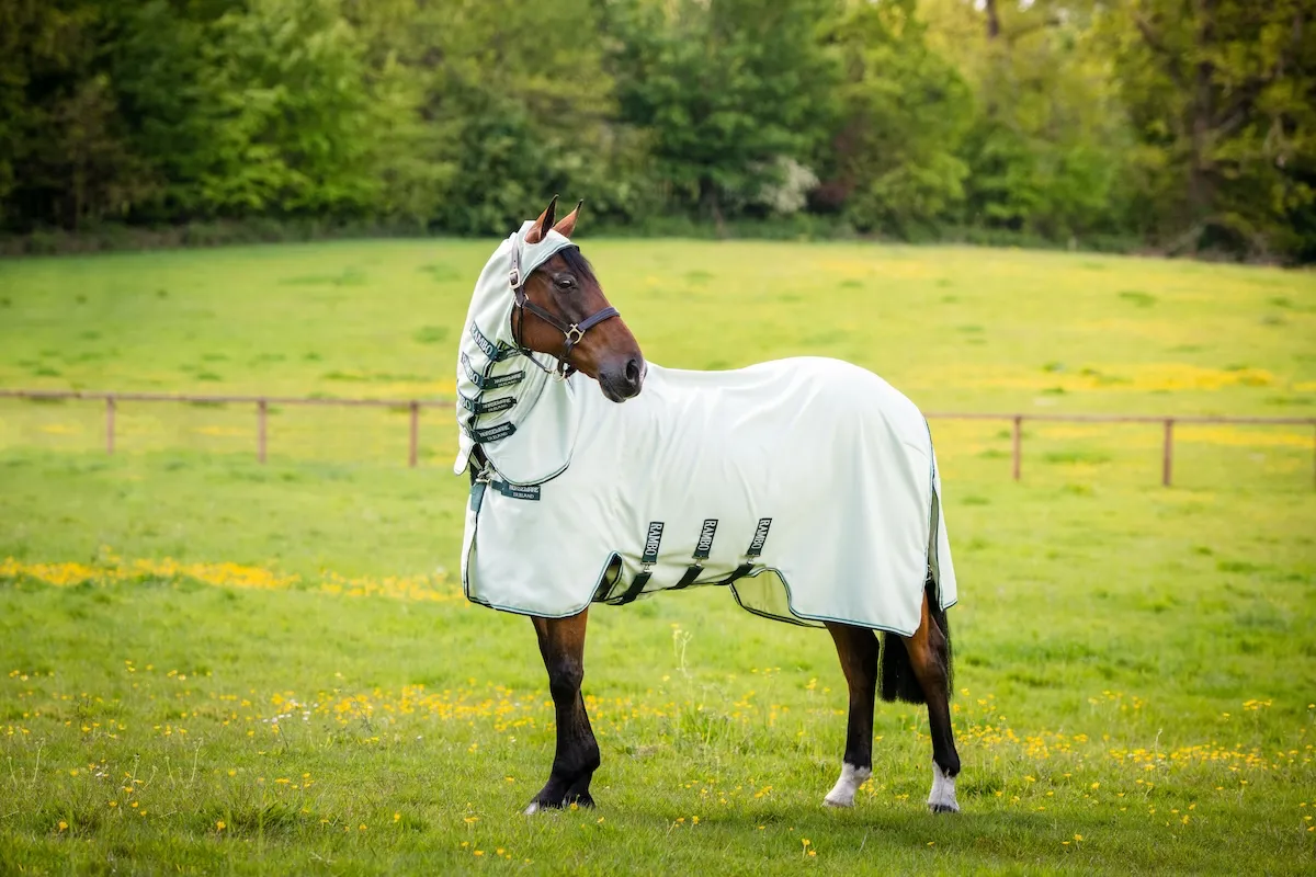 De plus en plus de propriétaires souhaitant laisser vivre leurs chevaux à l’extérieur, les marques ont dû innover pour proposer des couvertures encore plus performantes et adaptées à ce mode de vie.