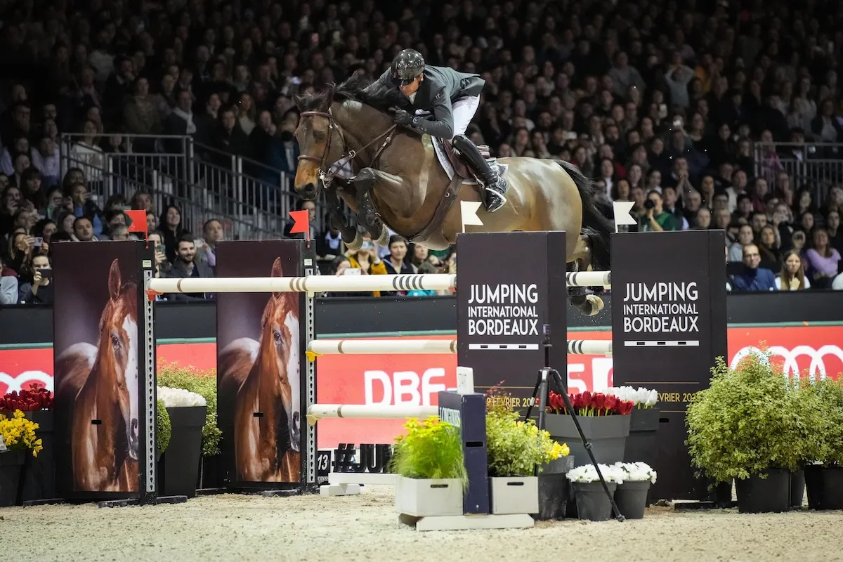 Vainqueur du Grand Prix AUDI l’année dernière, Julien Epaillard est en course pour la Coupe du monde de saut d'obstacles avec Donatello d’Auge. 