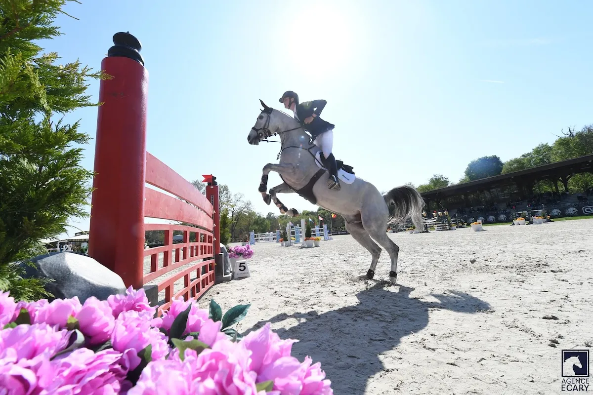 Paddy Reape et Mr Rocky Blue signent un triple sans-faute pour leur premier concours international de l’année