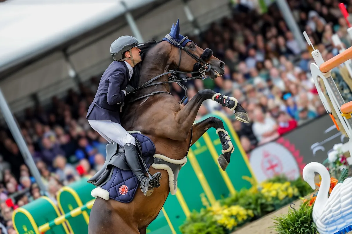 Simon Delestre préparera La Corogne avec Cayman Jolly Jumper, au repos depuis ses victoires à Bois-le-Duc et au Saut Hermès, lors des CSI 5* de Cannes et Ramatuelle. 