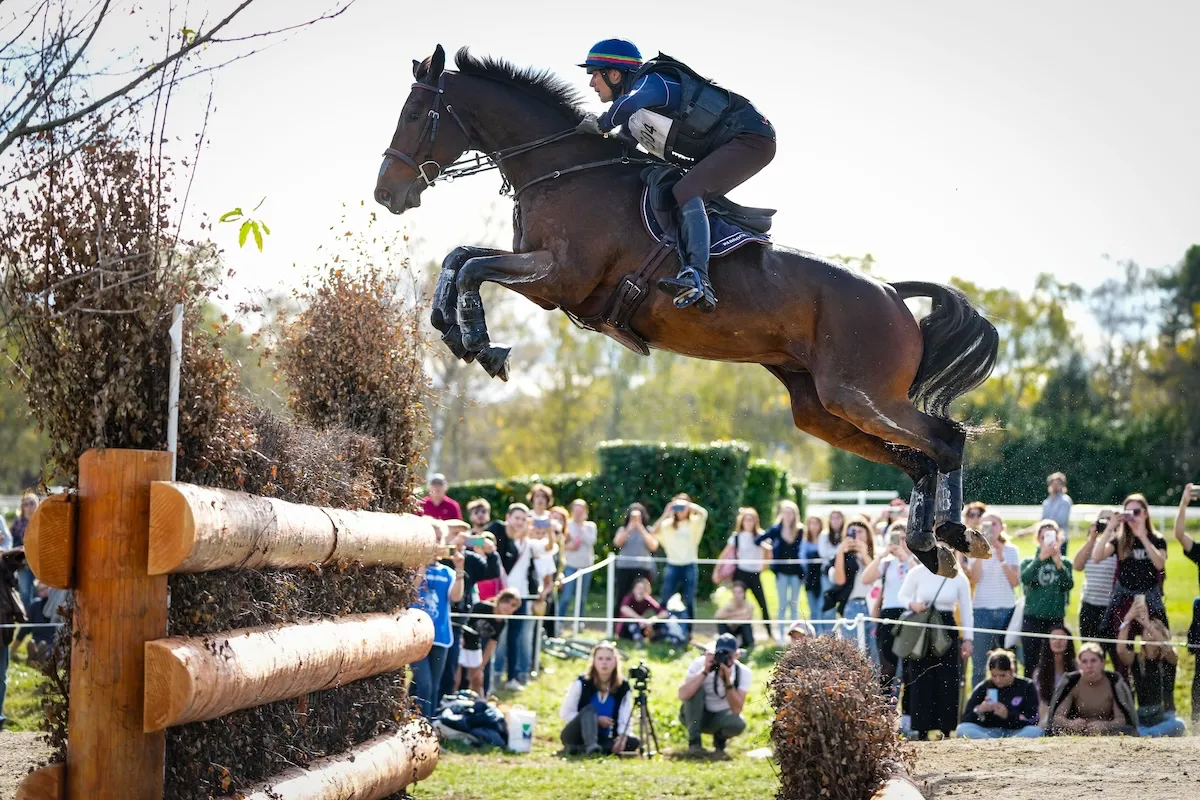 Florian Ganneval et Blue Bird de Beaufour lors du CCI 5*-L de Pau en 2023.
