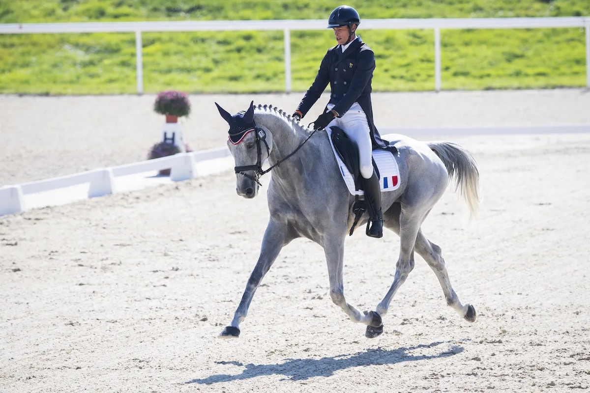 Maxime Livio et Api du Libaire.