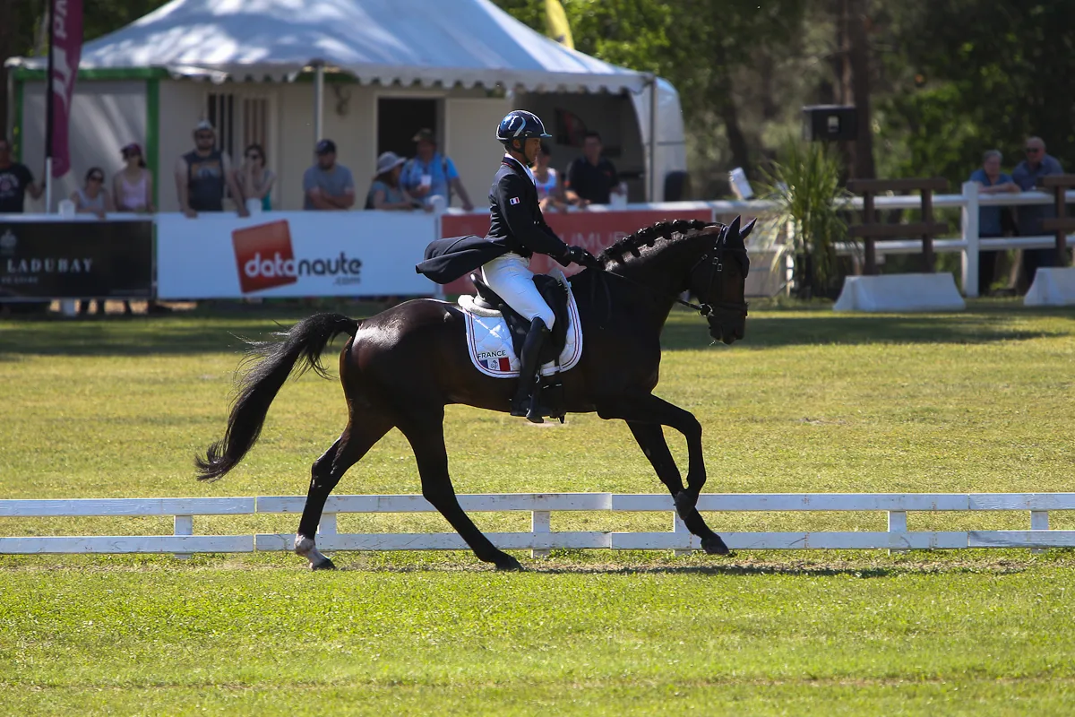 Karim Laghouag et Entebbe de Hus, 2ème  après le dressage