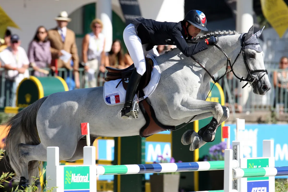 Mylord Carthago, ici lors des Européens de Madrid en 2011, est sur le podium des meilleurs reproducteurs de jumping.