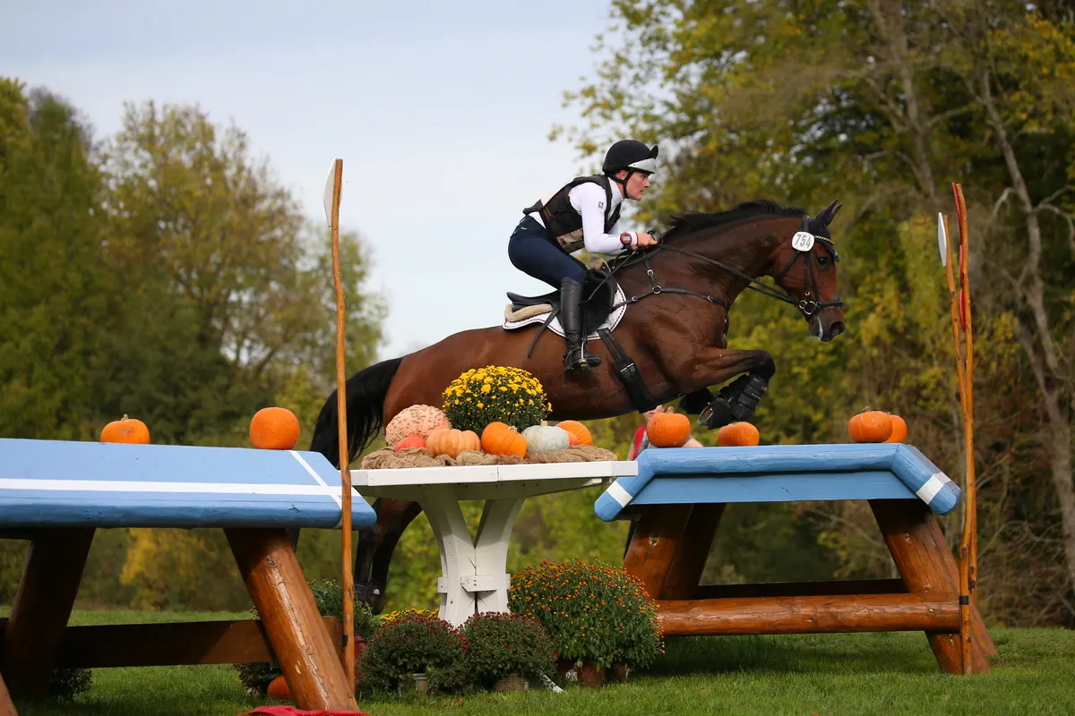 Lagona OLD est devenue en octobre le quatrième cheval à remporter le Mondial du Lion à six et sept ans.
