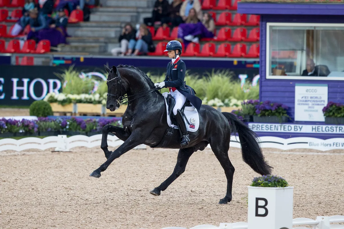 Le galop allongé de Glamourdale a ébloui le public à Herning.