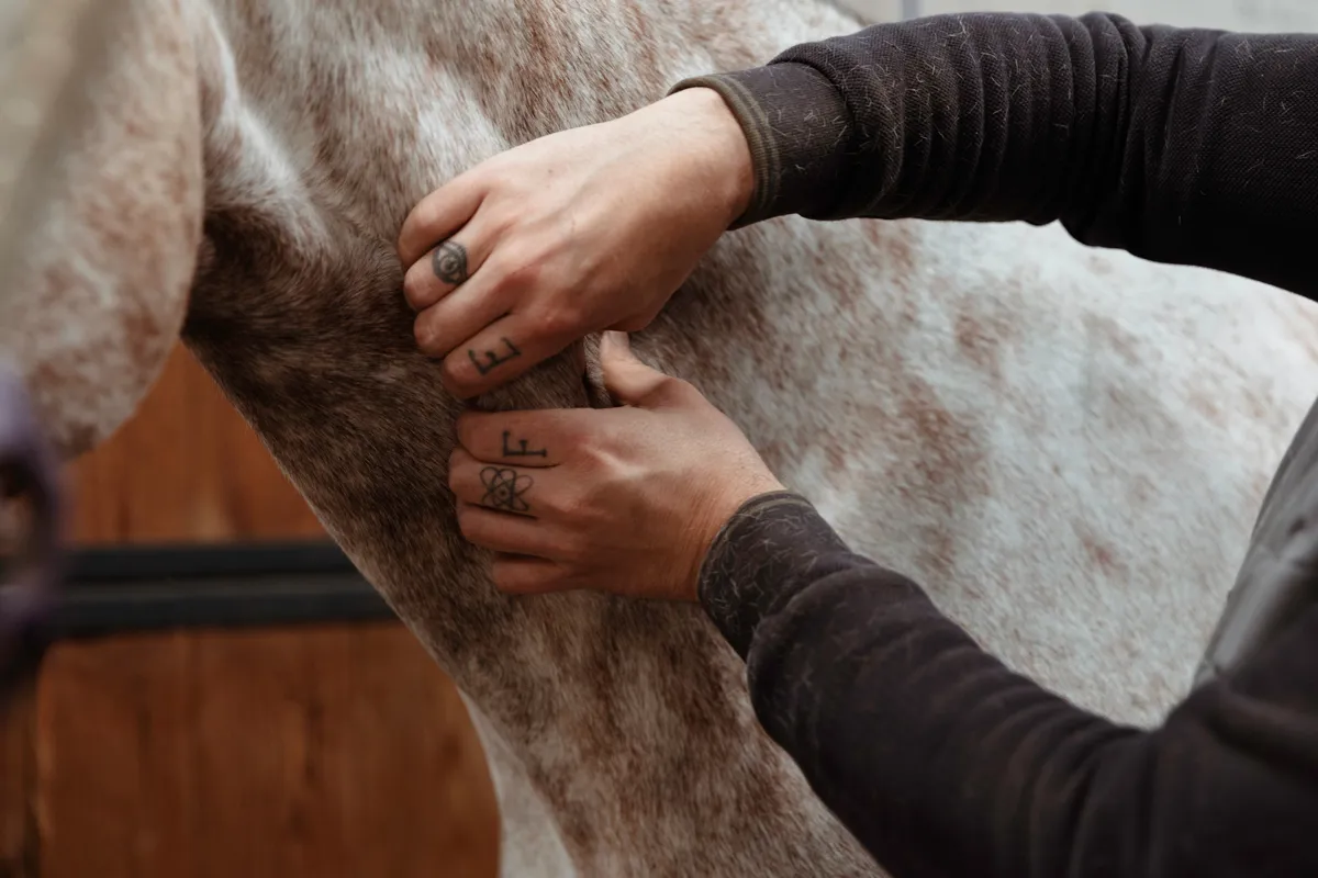 Marc Beaussart applique différentes techniques de massage, d’étirement et de mobilisation.