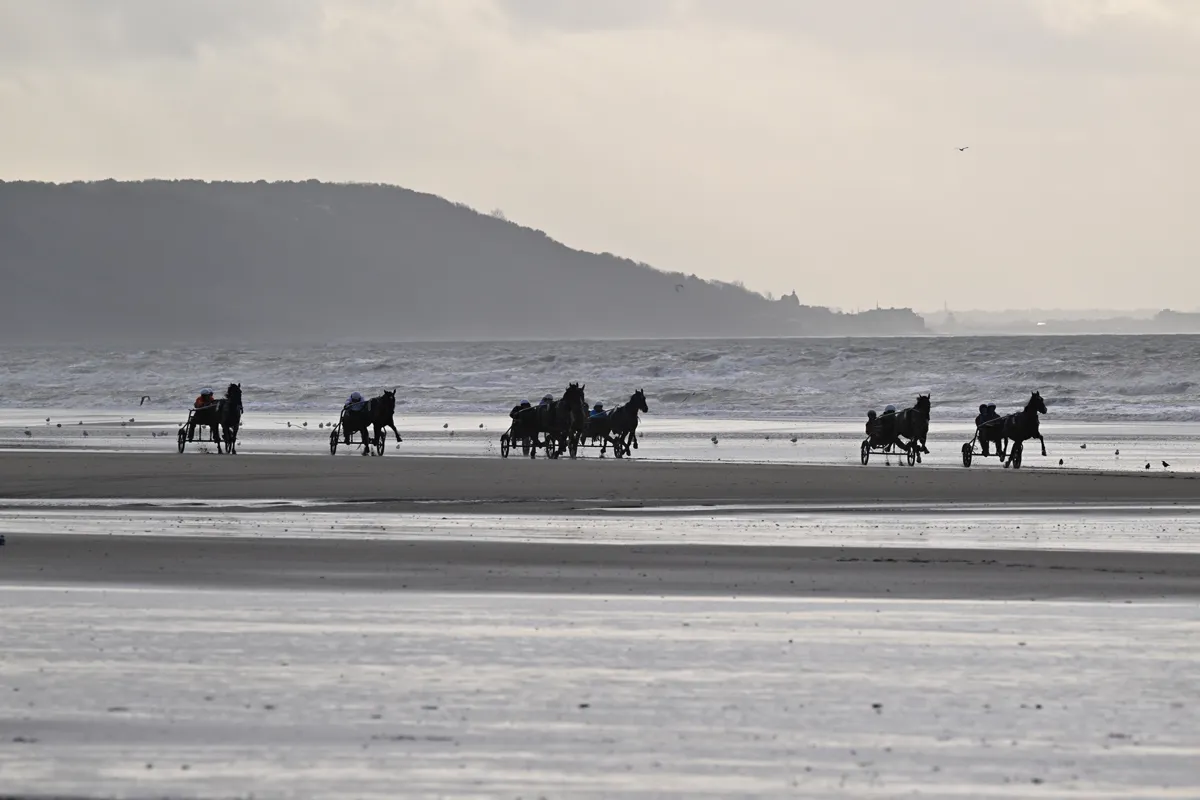 La course de trot sur la plage, un must deauvillais!