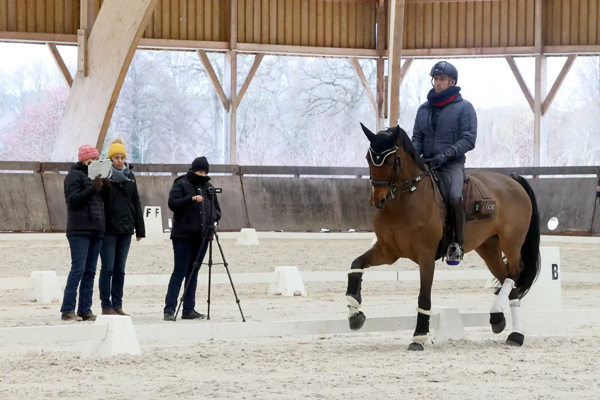 Alexandre Ayache et Jolene.