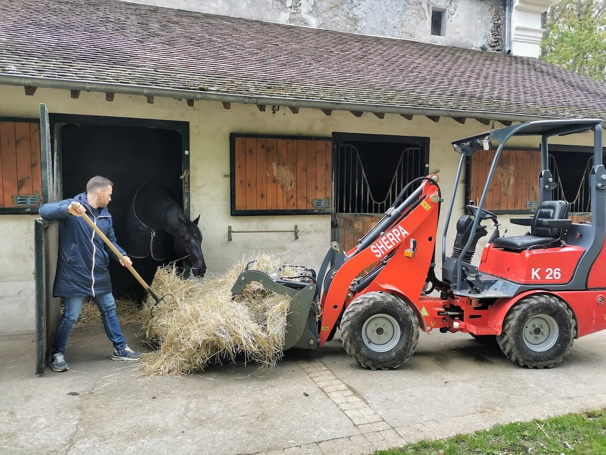 Au sein des écuries, les valets de ferme ont largement prouvé leur précieuse aide pour toutes les charges physiques.