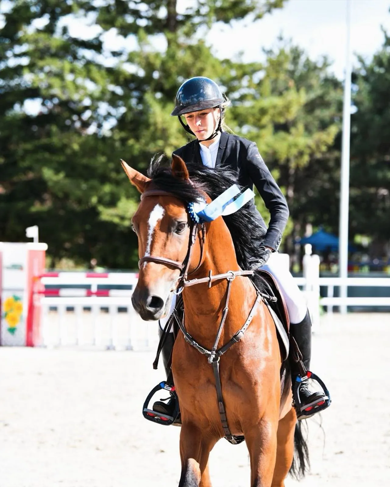 Ilona Mezzadri et Diamond's Dream