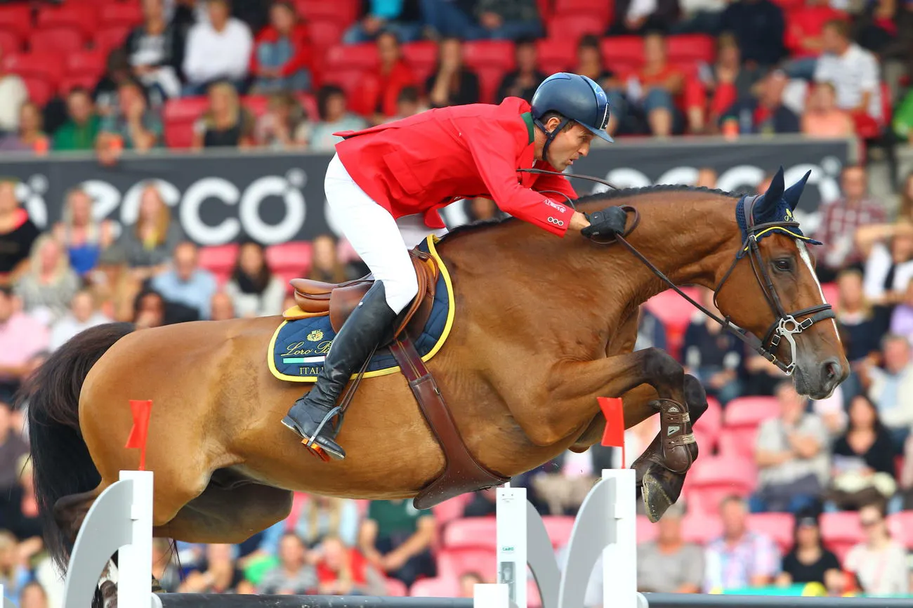 Avec Neptune Brécourt, Luca Maria Moneta a notamment couru les championnats d'Europe de Herning en 2013, où le couple a terminé dixième en individuel.