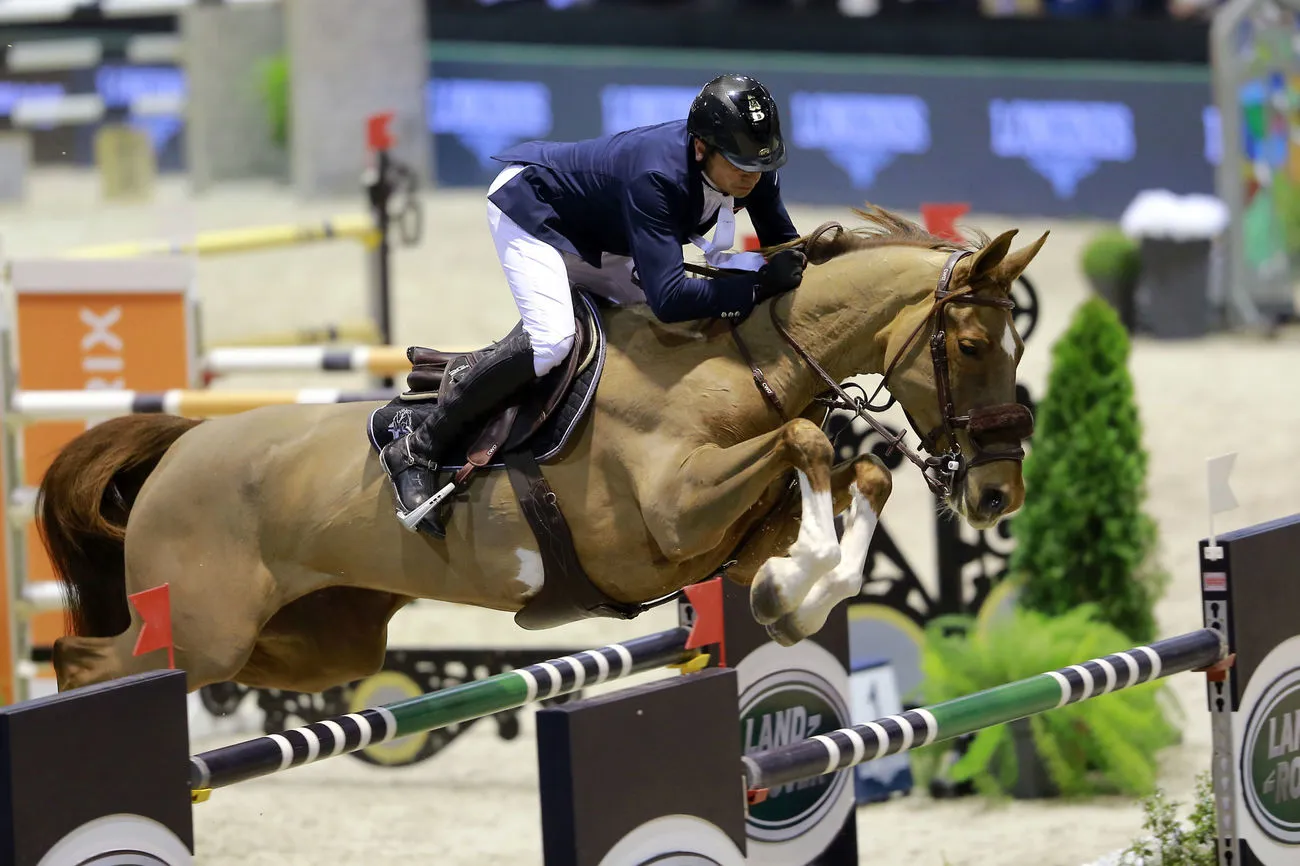 Revenue il y a quelques mois après une convalescence, Toupie de la Roque semblait fin prête pour revenir dans les plus beaux concours.