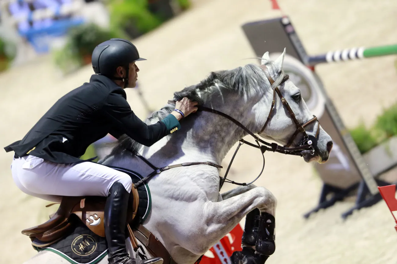 Peder Fredricson loue beaucoup les talents du prometteur Crusader Ice.