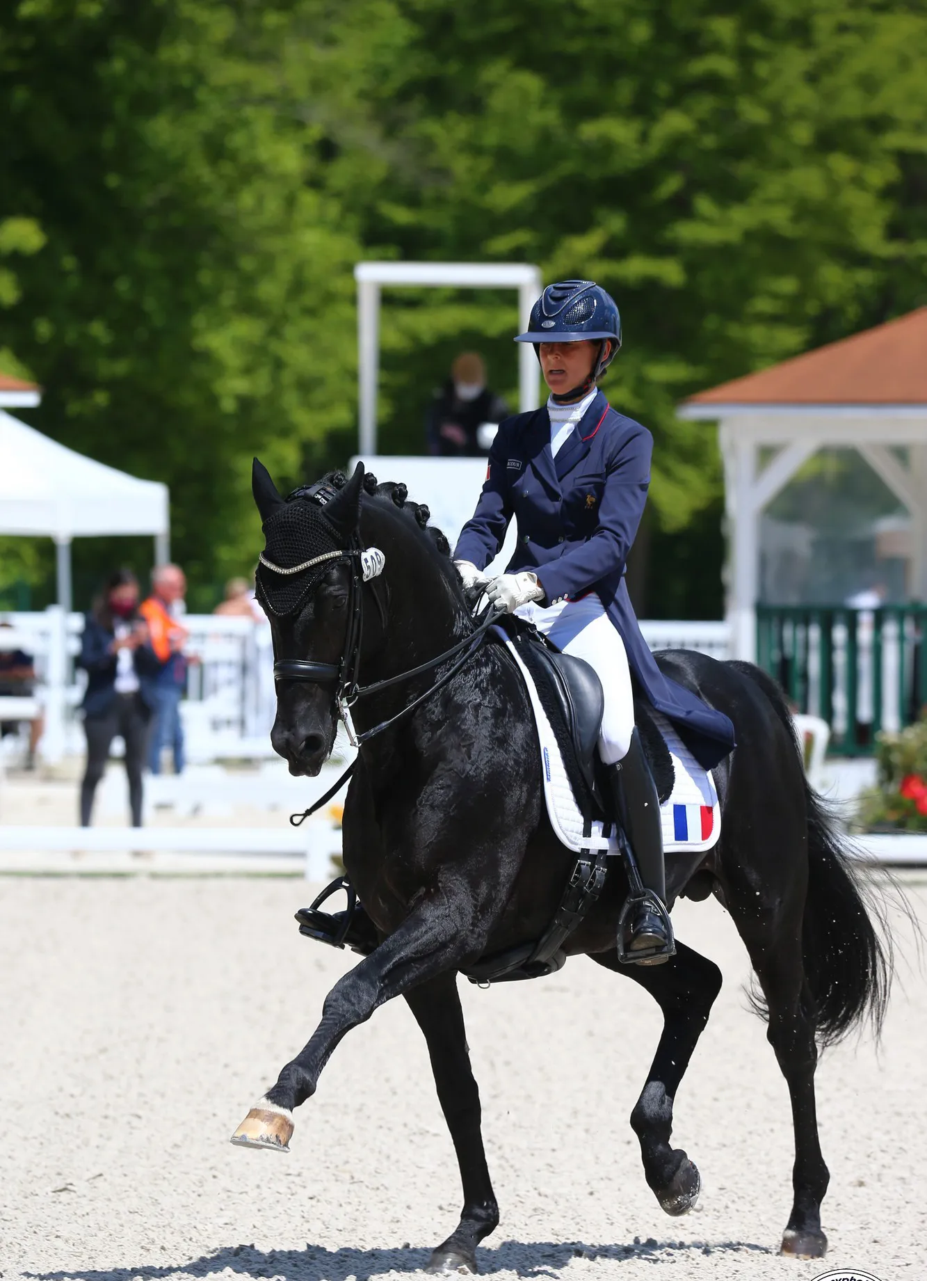 Maxime Collard et Cupido PB ont honoré leur première sélection en équipe de France Seniors. 