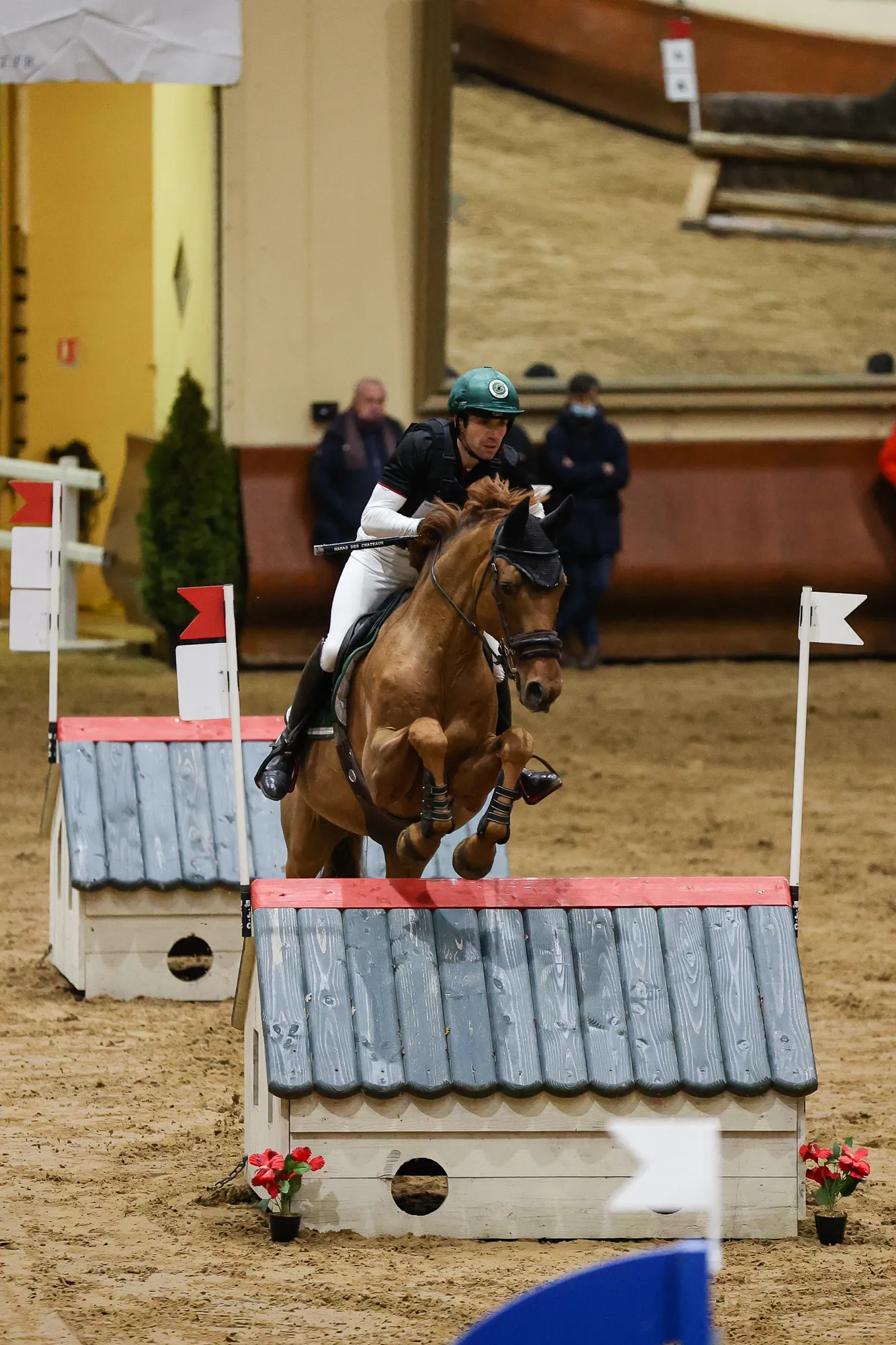 À dix-neuf ans, Propriano de l'Ebat est toujours fringant !